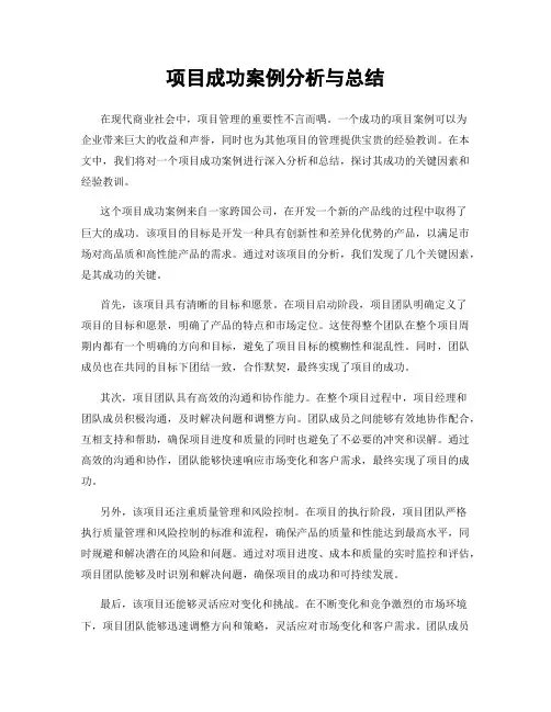 项目成功案例分析与总结