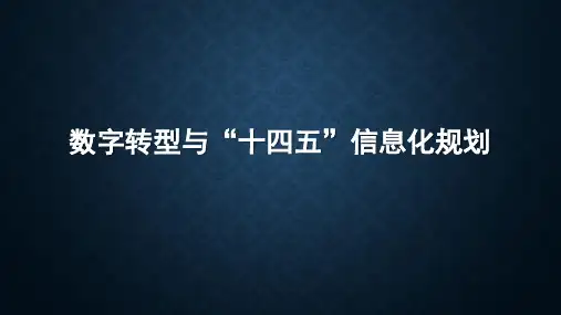 数字转型与“十四五”信息化规划 相关两份资料
