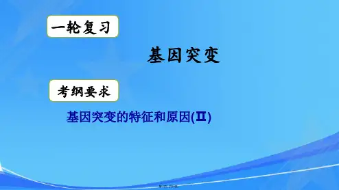 基因突变(公开课)