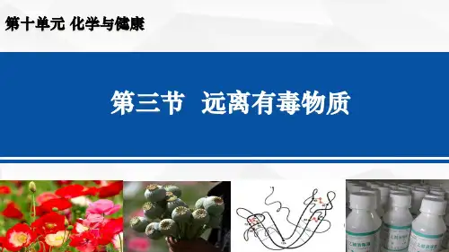 10.3 远离有毒物质课件-鲁教版化学九年级下册