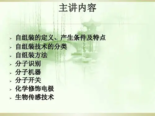 自组装工艺ppt课件