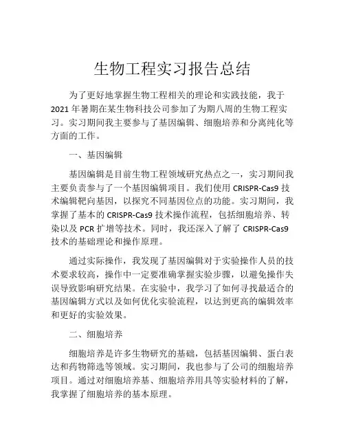 生物工程实习报告总结