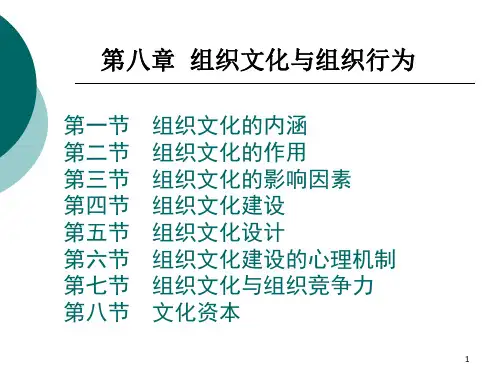 组织文化与组织行为