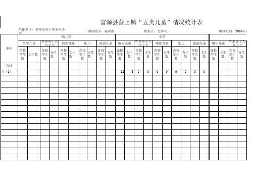 31“五类儿童”登记统计表