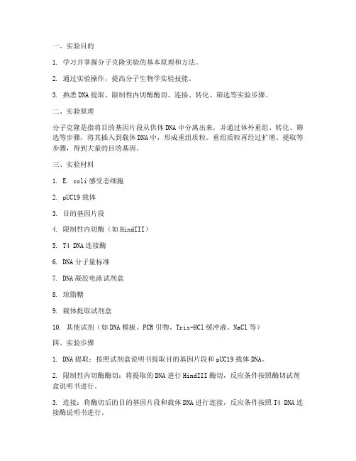 分子克隆实验实验报告