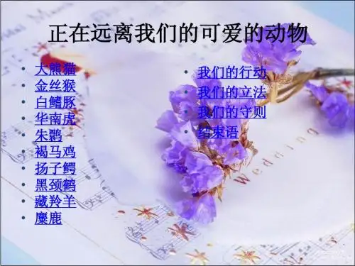 保护动物的ppt