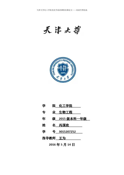 电化学论文