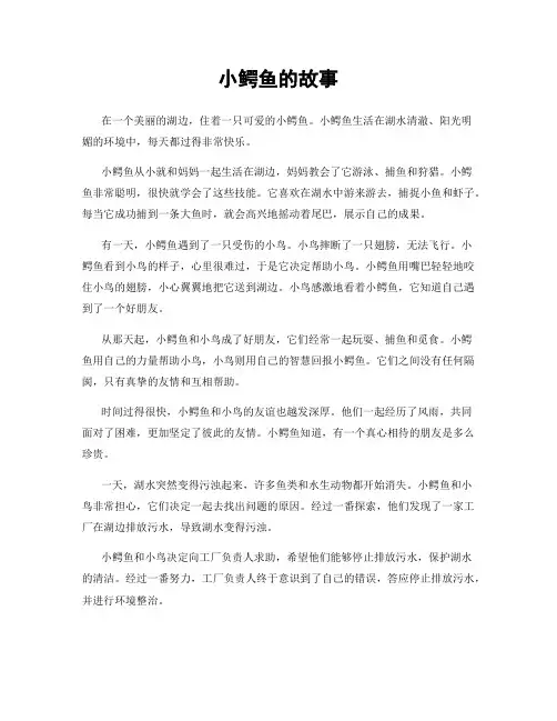 小鳄鱼的故事