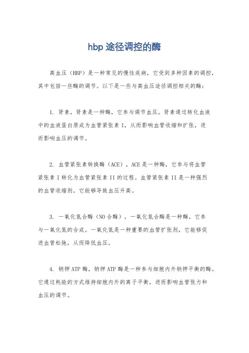 hbp途径调控的酶