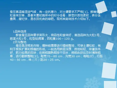 蚕豆栽培与病虫害防治ppt课件.ppt