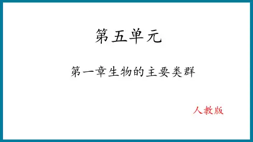 5.1.1 腔肠动物和扁形动物 2024-2025学年八年级生物上册同步教学课件(人教版)