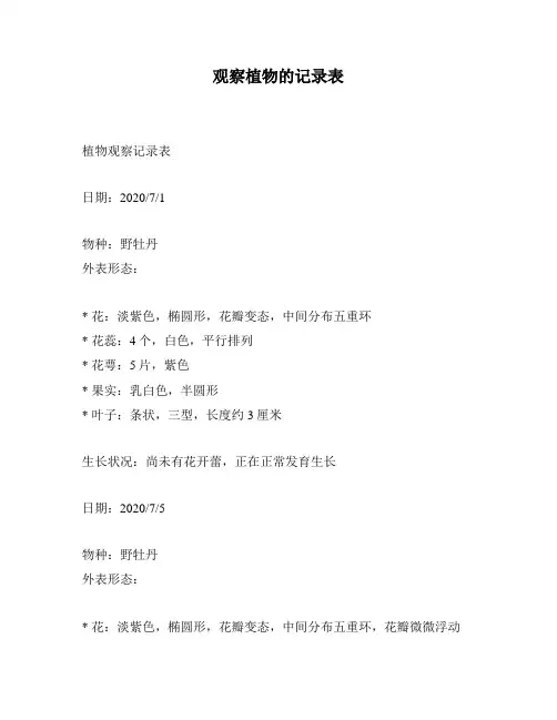 观察植物的记录表