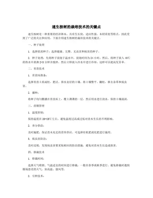 速生桉树的栽培技术的关键点