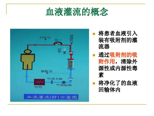 血液灌流的讲座幻灯片