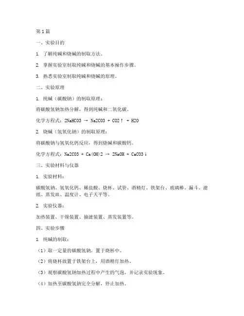 纯碱烧碱制法实验报告(3篇)