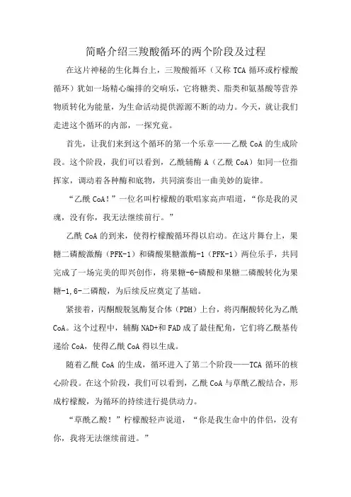 简略介绍三羧酸循环的两个阶段及过程