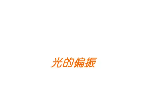光的偏振  课件