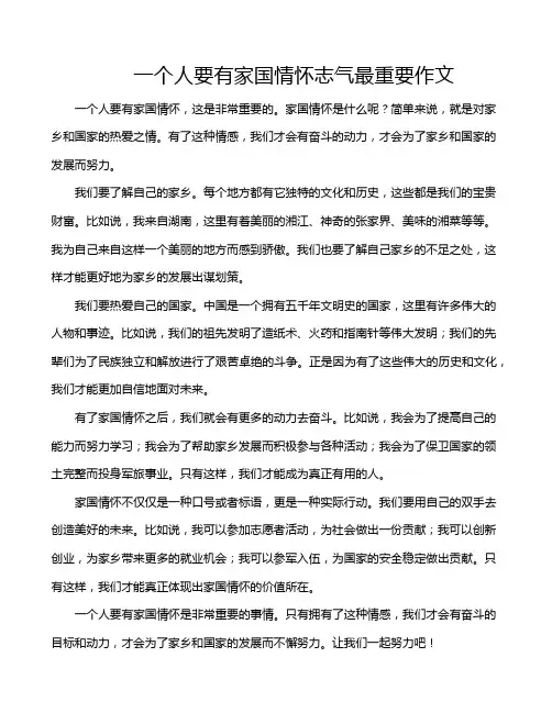 一个人要有家国情怀志气最重要作文