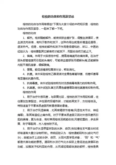 桂枝的功效和作用及禁忌