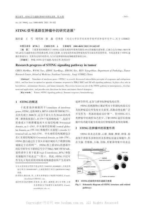 STING信号通路在肿瘤中的研究进展