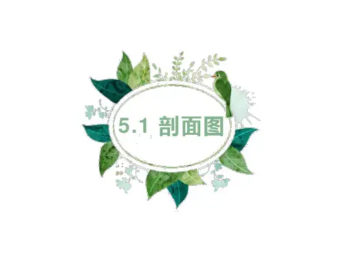 剖面图1课件(共21张PPT)《土木工程制图与识图》