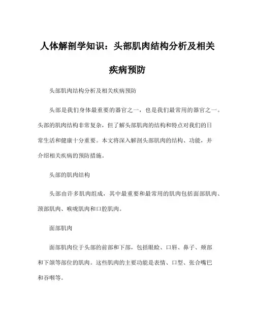 人体解剖学知识：头部肌肉结构分析及相关疾病预防