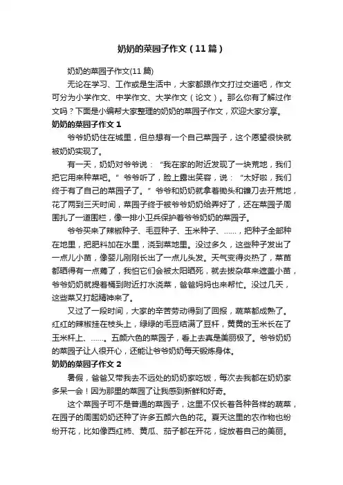 奶奶的菜园子作文（11篇）