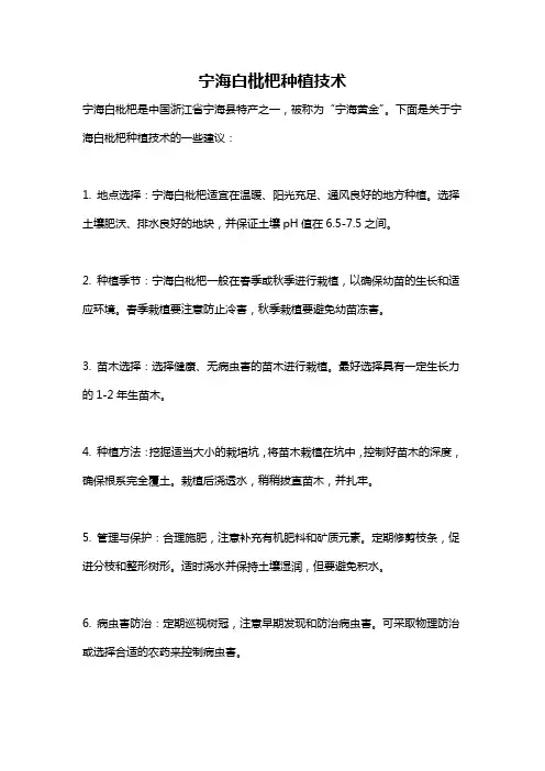 宁海白枇杷种植技术