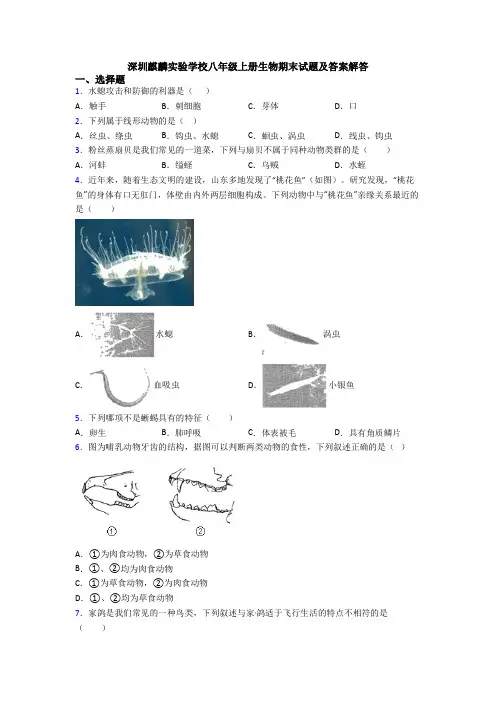 深圳麒麟实验学校八年级上册生物期末试题及答案解答