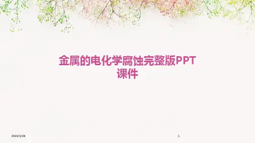 金属的电化学腐蚀完整版PPT课件-2024鲜版