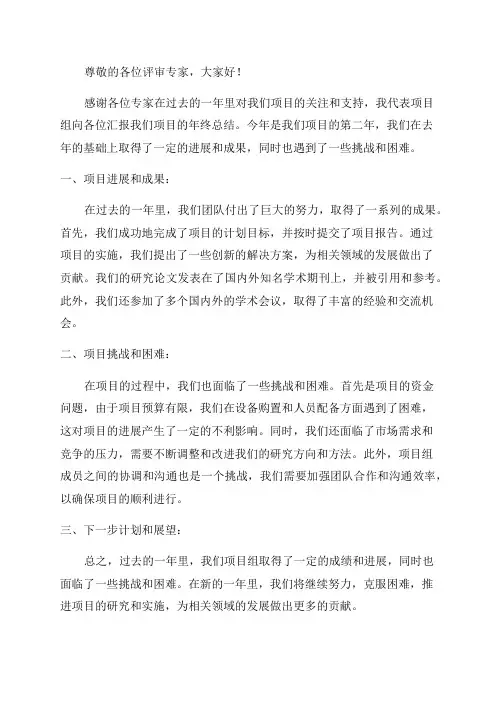 项目申报年终总结ppt