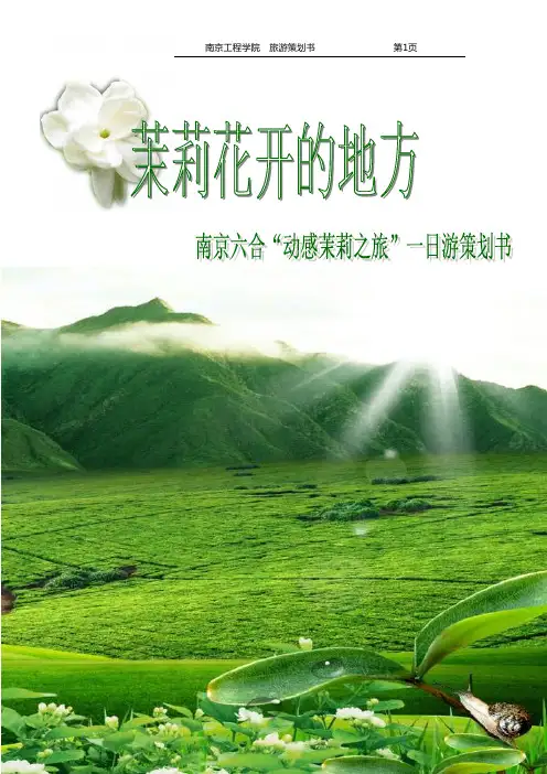 南京六合旅游策划