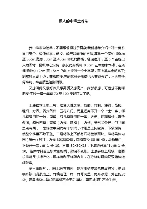 懒人的中蜂土养法