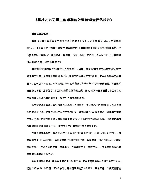 《攀枝花市可再生能源和能效现状调查评估报告》