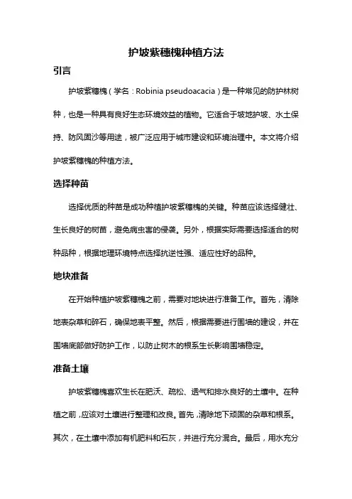 护坡紫穗槐种植方法