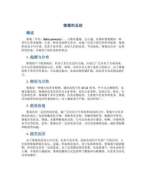 雏菊的总结