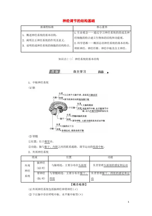 _新教材高中生物第2章神经调节第1节神经调节的结构基础学案新人教版选择性必修