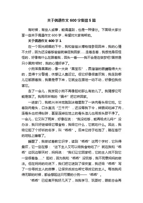 关于偶遇作文600字集锦5篇