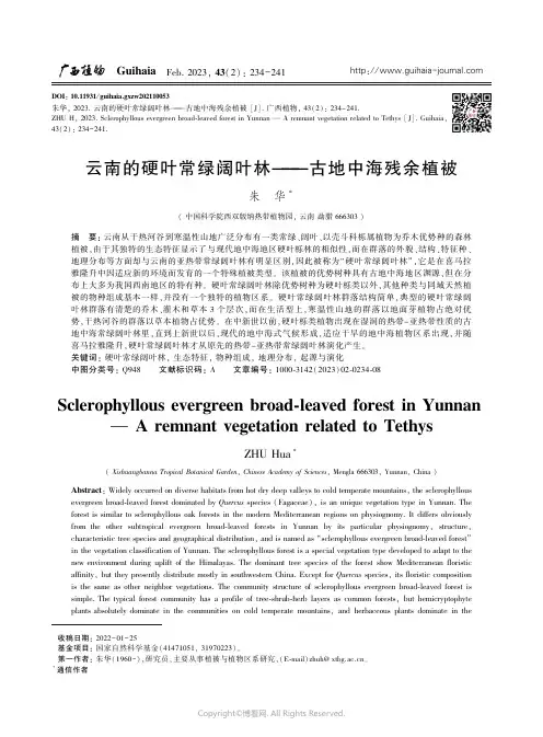 211021614_云南的硬叶常绿阔叶林——古地中海残余植被