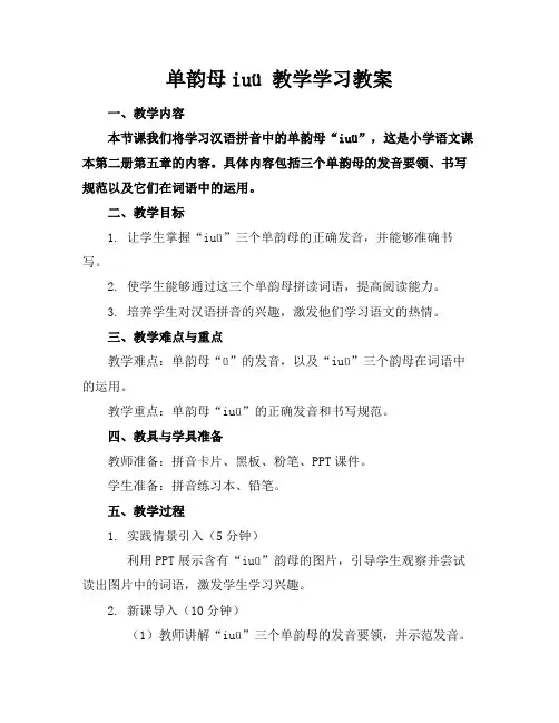 单韵母iuü教学学习教案