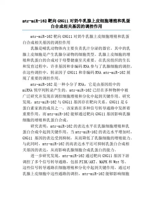 mtr-miR-162靶向GNG11对奶牛乳腺上皮细胞增殖和乳蛋白合成相关基因的调控作用