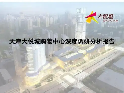 天津大悦城购物中心深度调研分析报告上