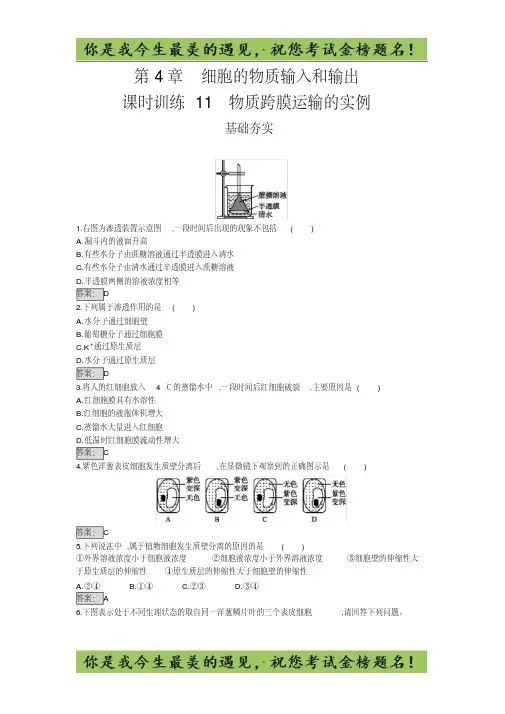 高中生物必修一(人教版)练习：4.1物质跨膜运输的实例