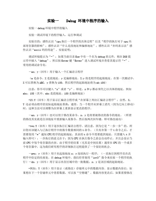 实验一    Debug 环境中程序的输入