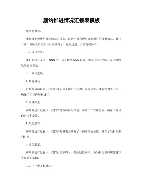 履约推进情况汇报表模板