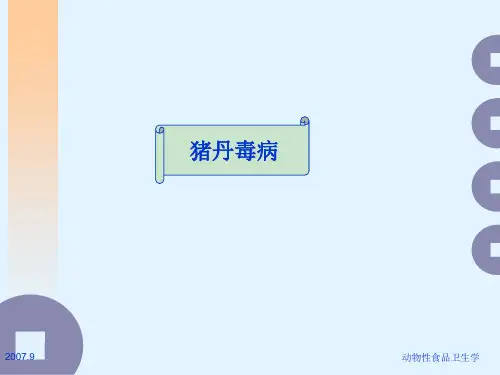 猪丹毒病图片大全