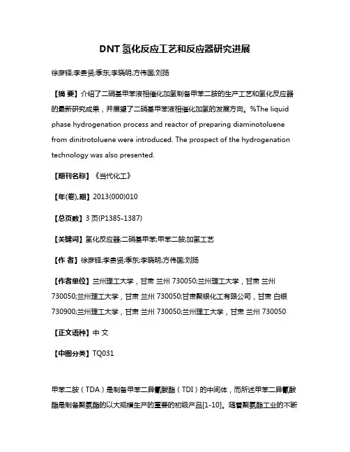 DNT氢化反应工艺和反应器研究进展