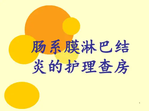 肠系膜淋巴结炎的护理查房2 ppt课件