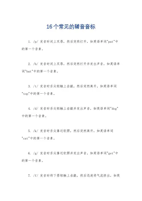 16个常见的辅音音标