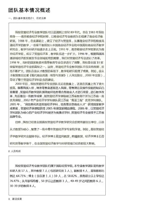 团队基本情况概述